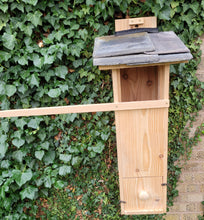 Load image into Gallery viewer, Tawney Owl Box
