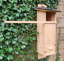 Load image into Gallery viewer, Tawney Owl Box