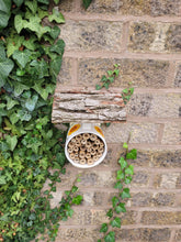 Load image into Gallery viewer, Air Bee and Bee