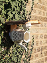 Load image into Gallery viewer, Teapot Bird Feeder / Planter