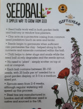 Load image into Gallery viewer, Seedball Salad Mix