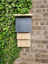 Load image into Gallery viewer, Common Pipistrelle Bat Box