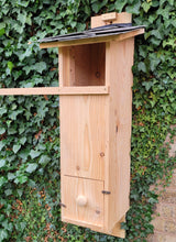 Load image into Gallery viewer, Tawney Owl Box