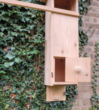 Load image into Gallery viewer, Tawney Owl Box