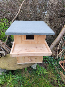 Barn Owl Box
