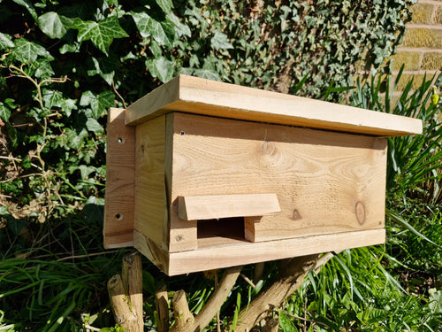 Swift Nest Box