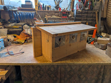 Load image into Gallery viewer, Sparrow Colony Box