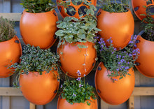 Load image into Gallery viewer, Planter