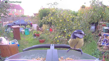 Load image into Gallery viewer, FeatherSnap Smart Bird Feeder