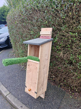 Load image into Gallery viewer, Tawney Owl Box