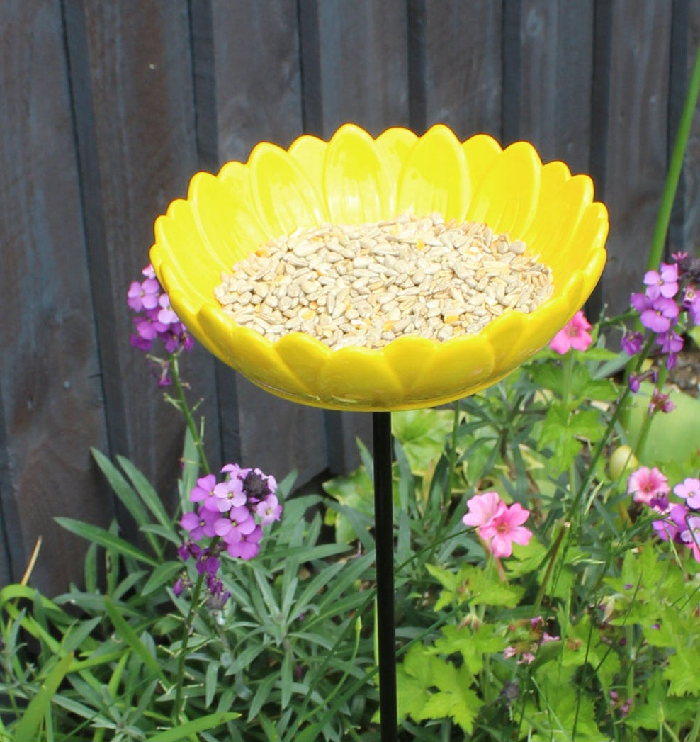 Seedball Herb Mix