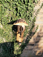 Load image into Gallery viewer, Copper Kettle Bird Nest Box / Feeder