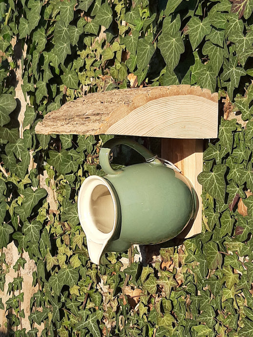 Milk / Cream Jug Bird Feeder /Nest Box