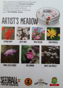 Seedball Artist's Meadow Mix