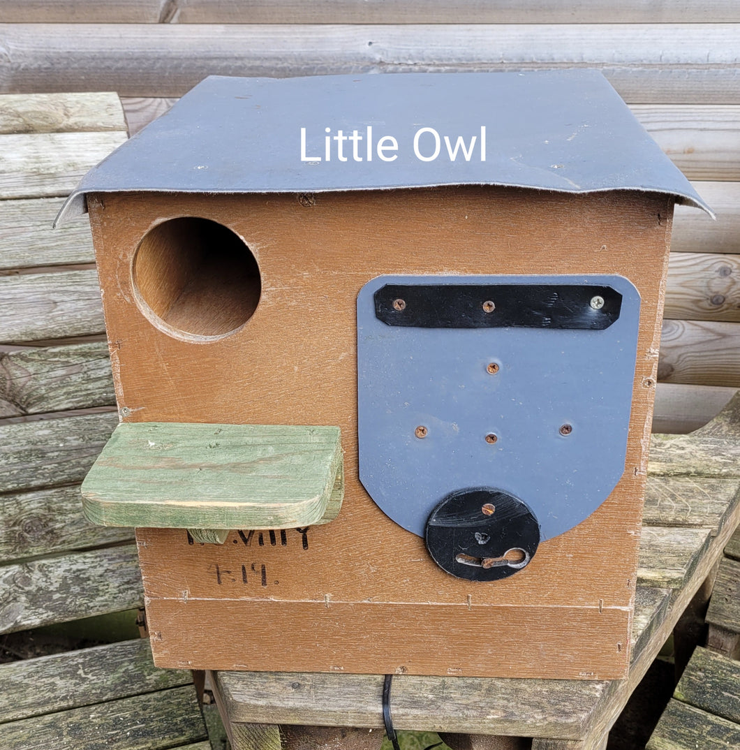 Little Owl Box