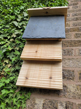 Load image into Gallery viewer, Common Pipistrelle Bat Box
