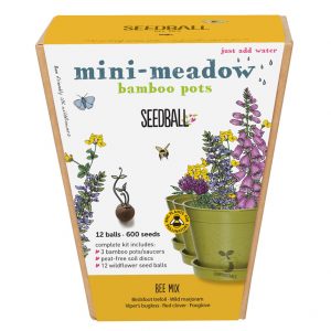 Seedball Bee Mix Mini-Meadow Bamboo Pot